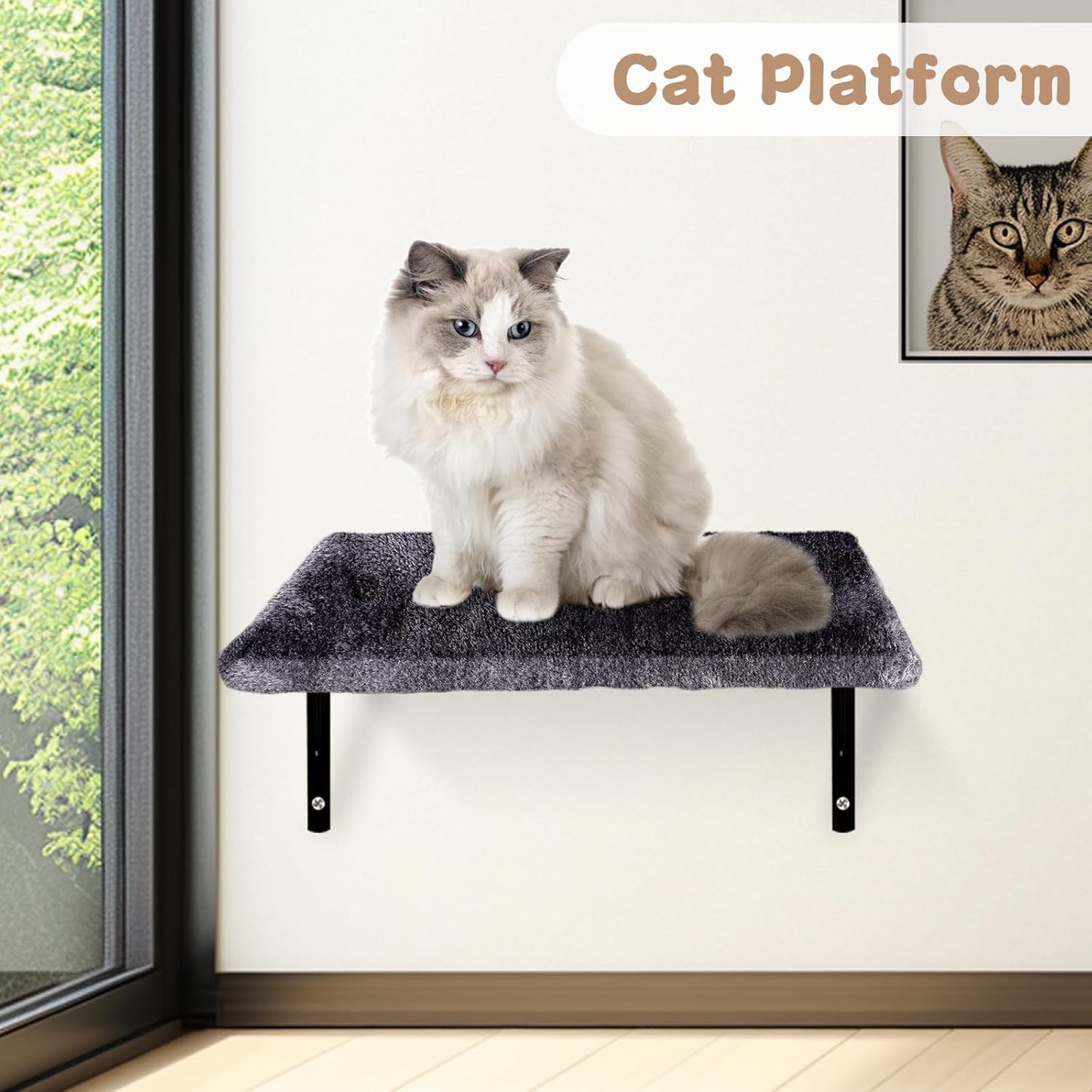 MASTERTOP 4‑in‑1 Cat Climbing Frame Set – Wall Mounted Cat Tree / Shelves / Scratcher
