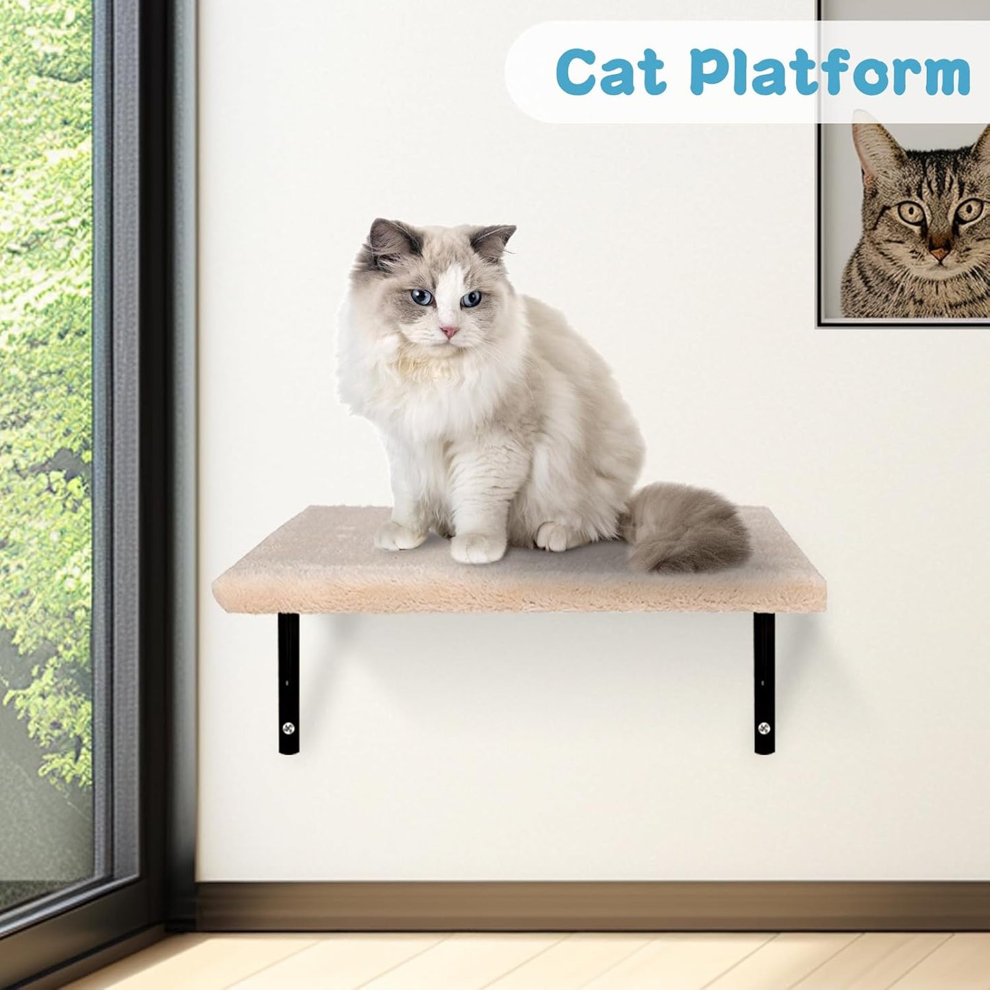 MASTERTOP 4‑in‑1 Wall Mounted Cat Furniture Set – Climbing, Scratch & Perch