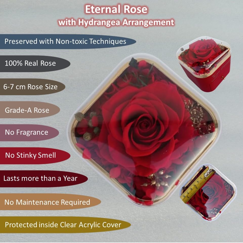 Preserved Red Rose Gift Box with “I Love You” Necklace in 100 Languages – Romantic Keepsake