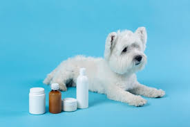 Pet Care