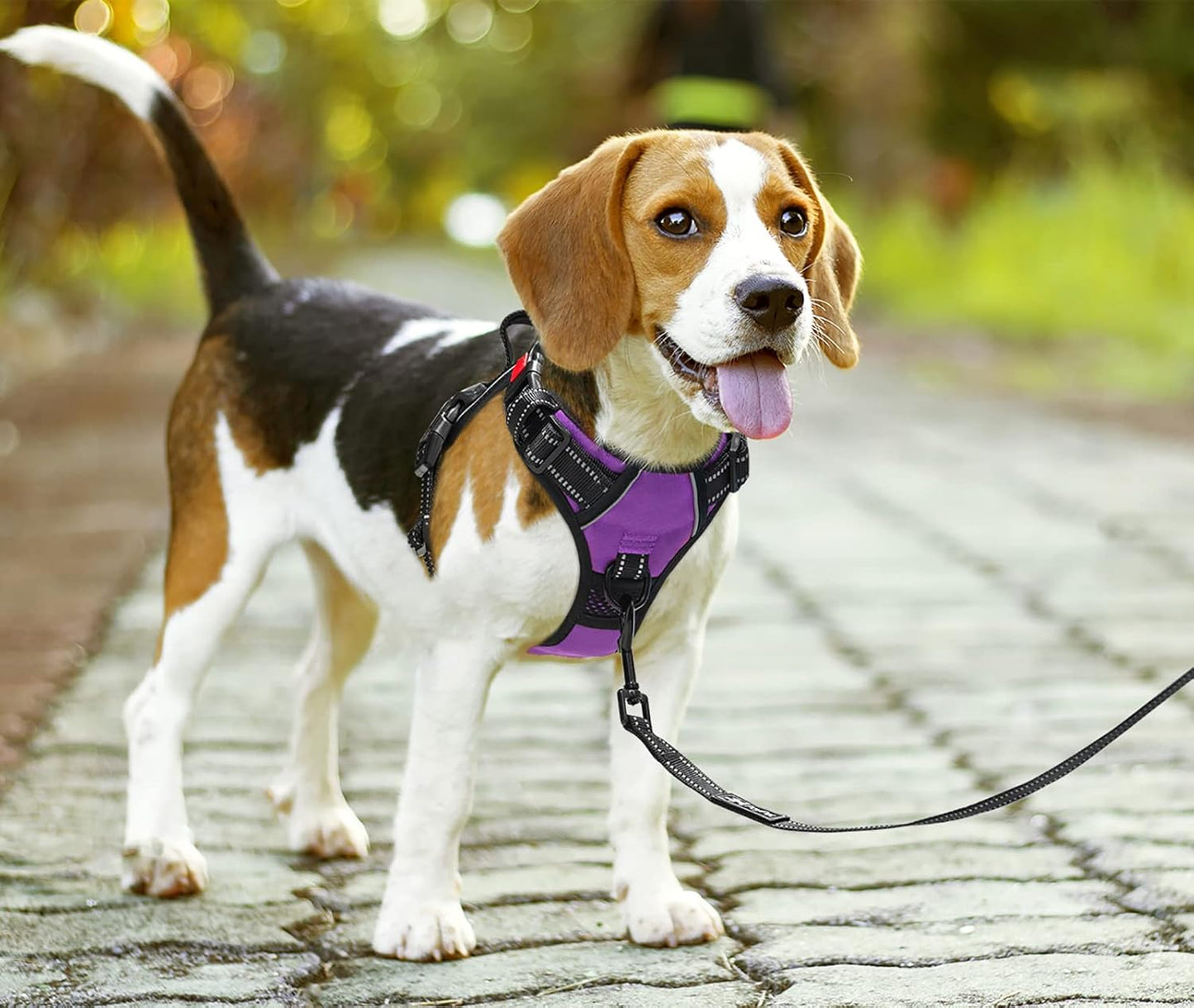 No Pull Dog Harness Reflective Adjustable Vest Purple Small