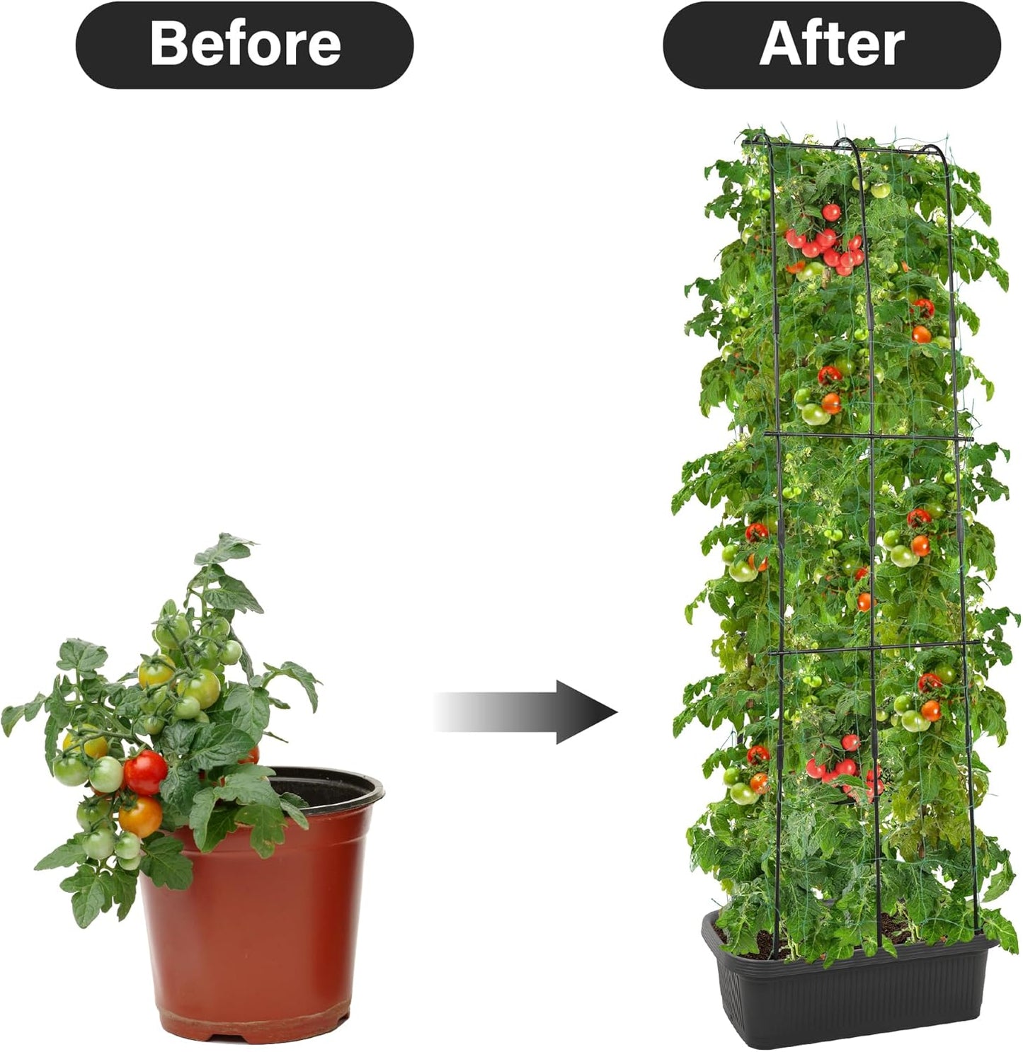 JonesHouseDeco 2Pcs Self-Watering Planter with Trellis for Veggies & Vines