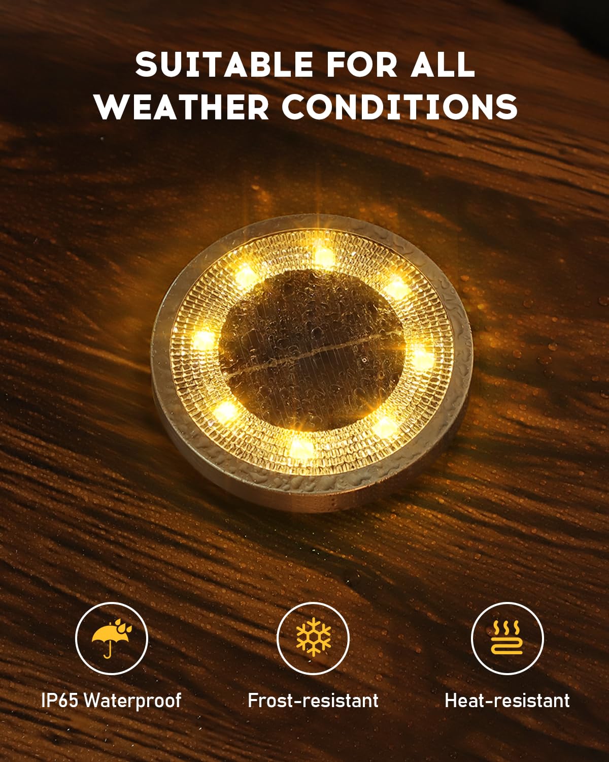 Solar Ground Lights for Garden Path (12 Pack)