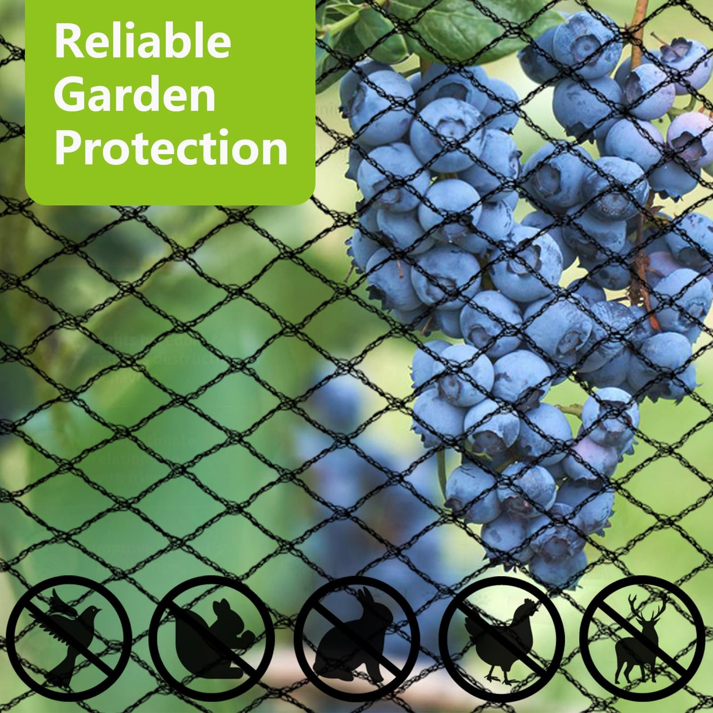 Bird Netting for Garden (6x6m)